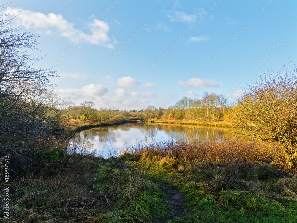 Part shaded woodland pond on a bright winter day in Vicar Water Country Park. Part shaded woodland pond on a bright winter day in Vicar Water Country Park.