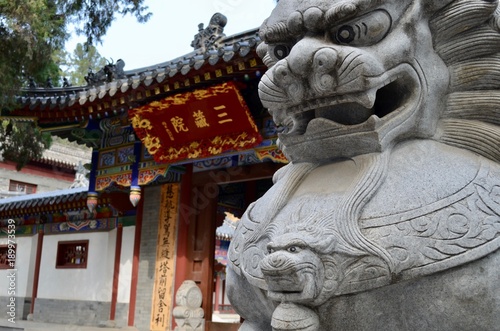 中国 陝西省 西安 香積寺 China Shaanxi Xi'an 