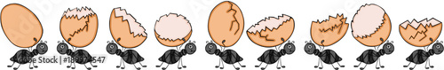 Set of ants on the march carrying broken eggs
