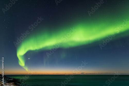 Northern lights, Uttakleiv, Lofoten islands, Norway