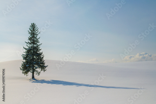snow hill  at Biei ,Hokkaido
