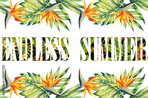 Slogan endless summer jungle frame