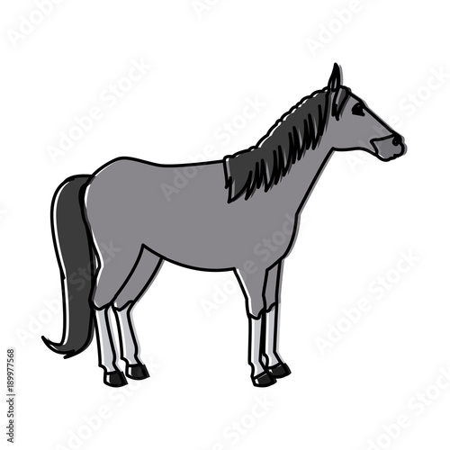 Horse Animal isolated icon vector illustration graphic design