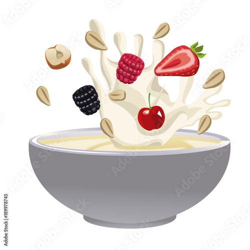 Cereal and milk bowl icon vector illustration graphic design