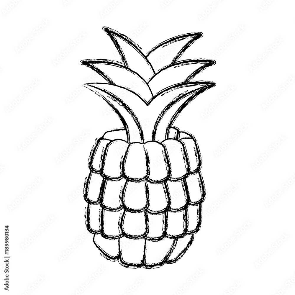 Pineapple sweet fruit icon vector illustration graphic design Pineapple sweet fruit icon vector illustration graphic design