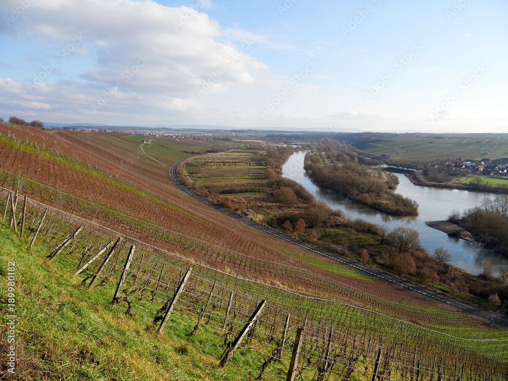 Naklejka premium Vogelsburg und Weinberge an der Volkacher Mainschleife, Unterfanken, Bayern, Deutschland