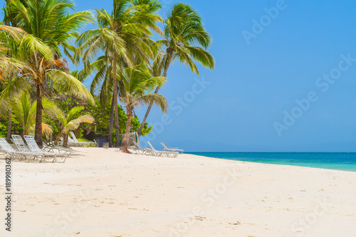 Sonnenliegen unter Palmen am Strand mit weißem Sand, türkis-blaues Meer, blauer wolkenloser Himmel in der Dominikanischen Republik, Karibik, Cayo Levantado, Bacardi Insel