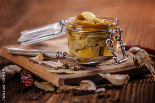 marinated pickled  porcini mushrooms  photo