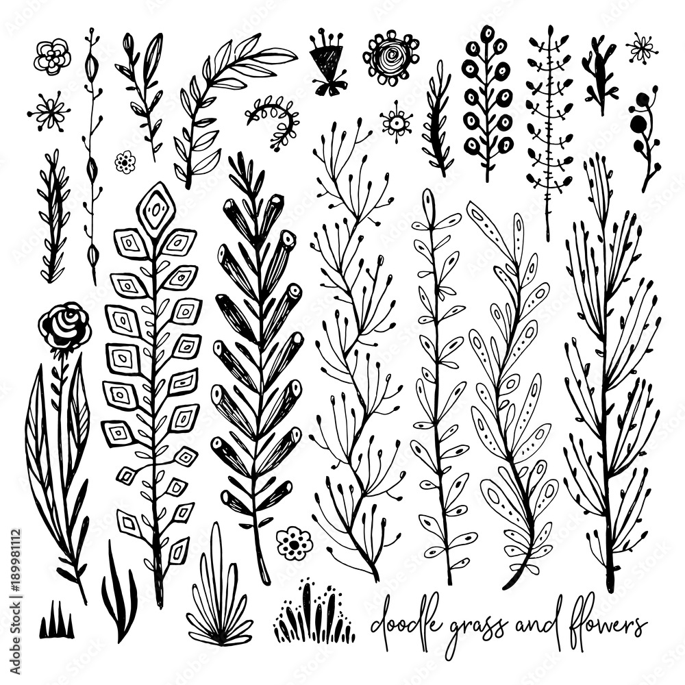 Set of black and white Doodle elements. Plant, grass, bushes, leaves, flowers. Vector illustration, Great design element for congratulation cards, banners and others
