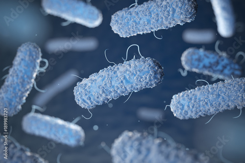 Enterobacterias. Gram-negative bacterias escherichia coli, salmonella, klebsiella, legionella, mycobacterium tuberculosis, yersinia pestis,  and shigella. 3d illustration photo