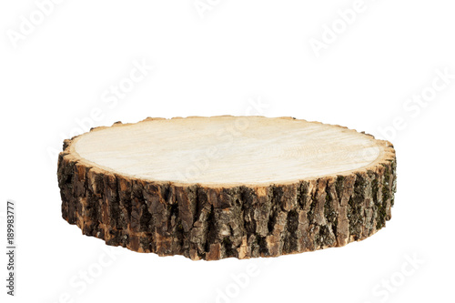 Wooden stump isolated. Cross section of tree trunk, isolated on white background