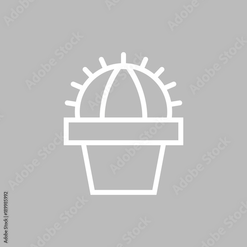 Kaktus - Icon, Symbol, Piktogramm, Bildmarke, grafisches Element - grau - Web, Druck - Vektor