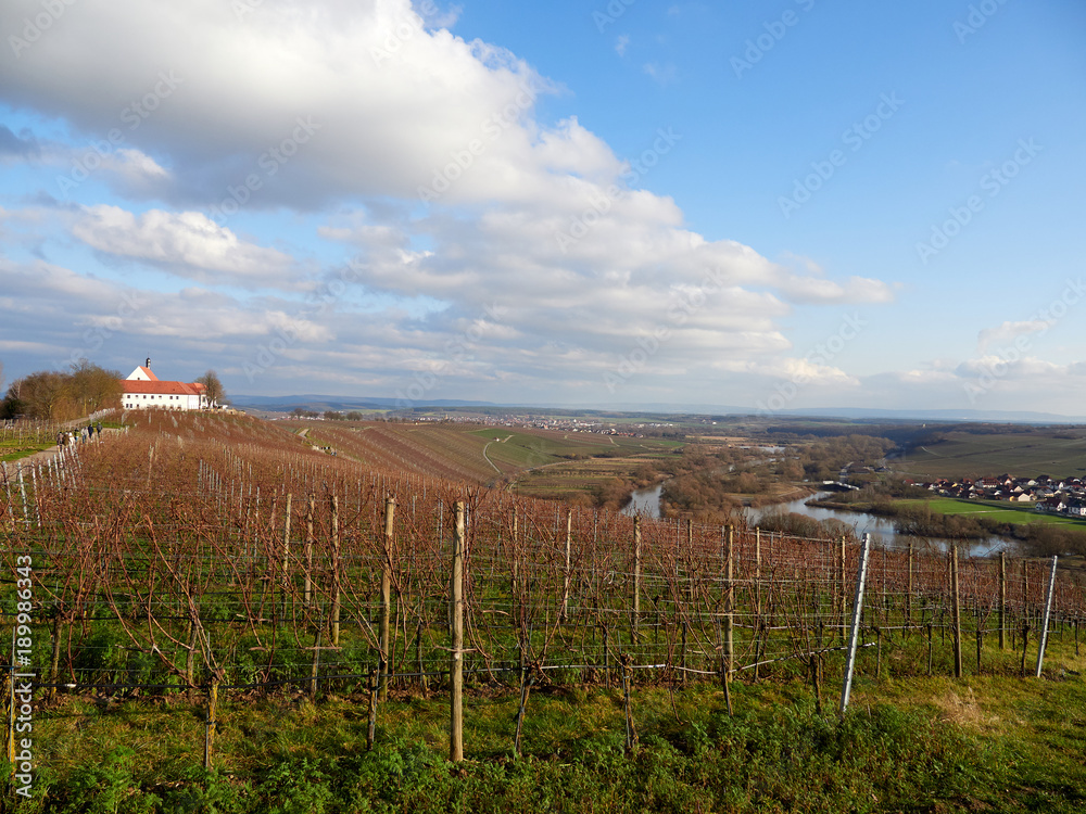 Fototapeta premium Vogelsburg und Weinberge an der Volkacher Mainschleife, Unterfanken, Bayern, Deutschland