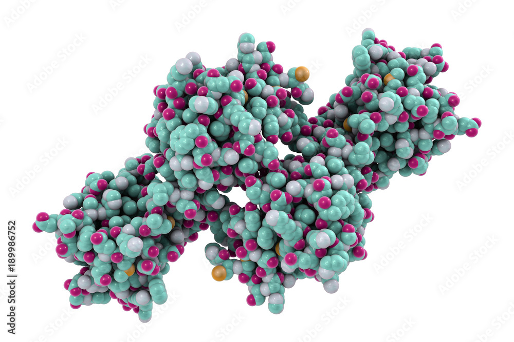 Molecular model of snake venom toxin convulxin found in a tropical rattlesnake Crotalus durissus terrificus, 3D illustration. This toxin causes blood clot formation after snake bite Molecular model of snake venom toxin convulxin found in a tropical rattlesnake Crotalus durissus terrificus, 3D illustration. This toxin causes blood clot formation after snake bite