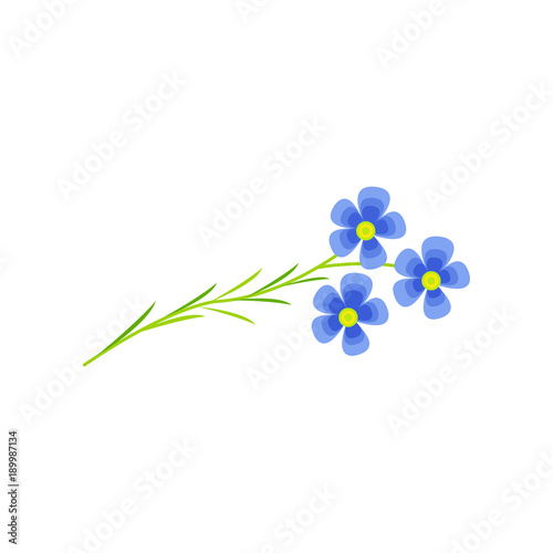 Flax flower cartoon vector Illustration