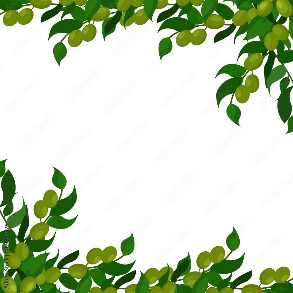 Olive branches background, vector Illustration with natural green elements and space for text