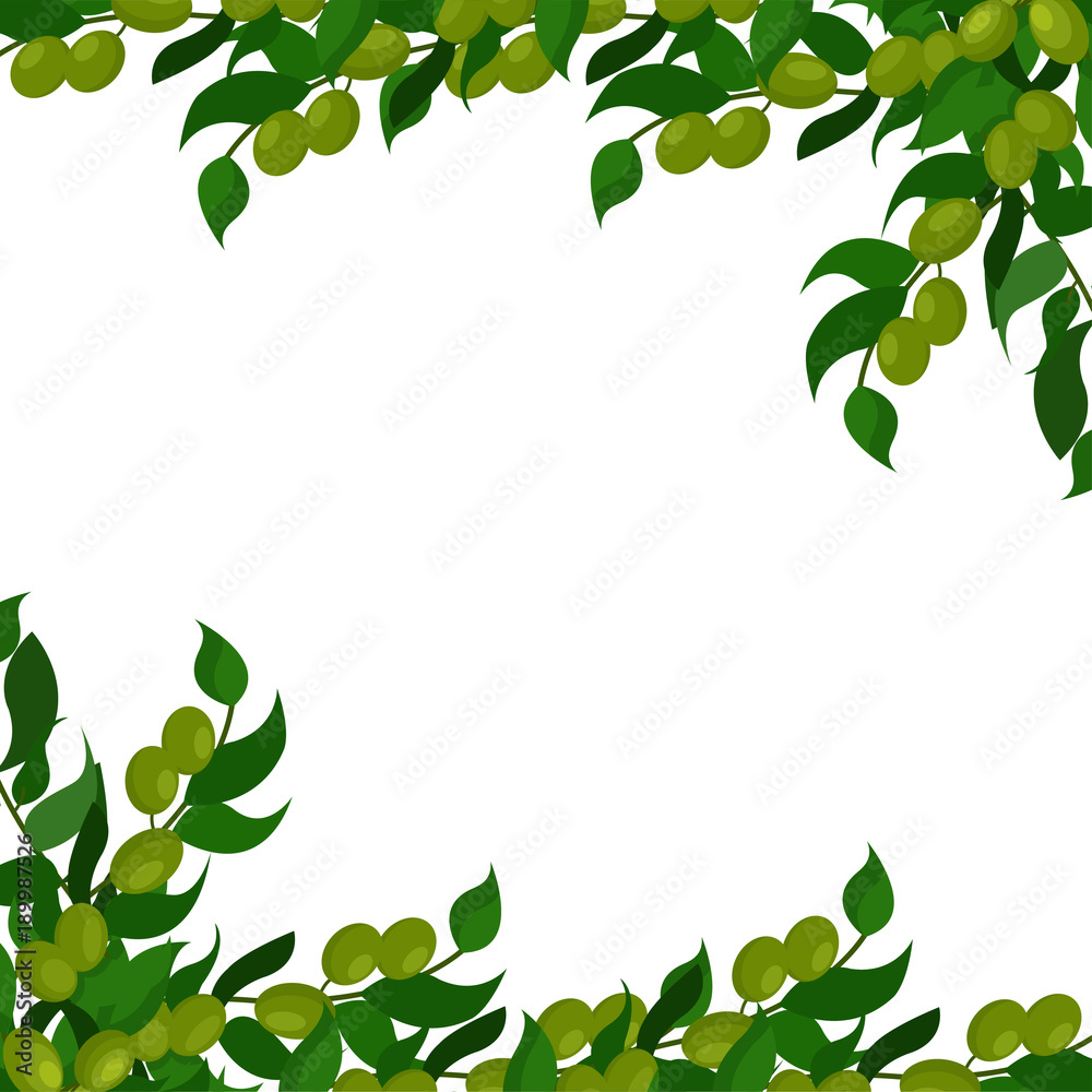 Olive branches background, vector Illustration with natural green elements and space for text Olive branches background, vector Illustration with natural green elements and space for text
