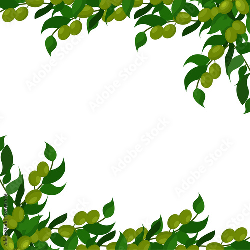 Olive branches background, vector Illustration with natural green elements and space for text