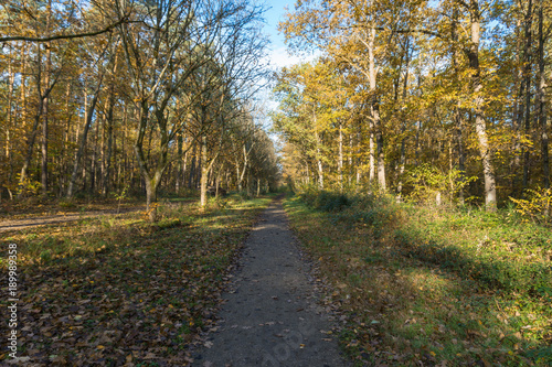 Weg an der Schneidem  hlerstr.