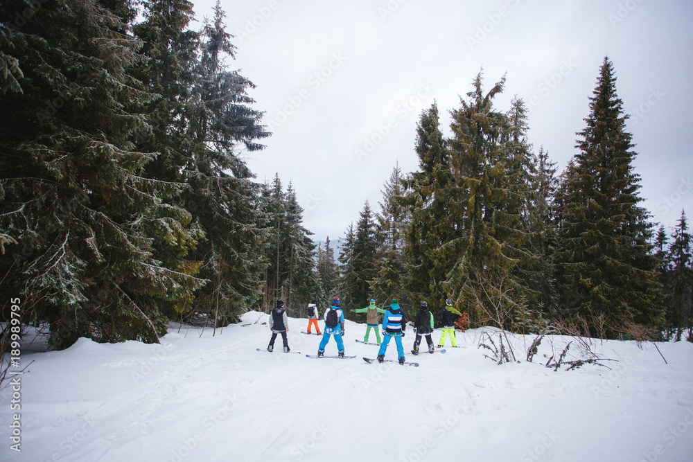 Company of snowboarders among the forest in the mountains.