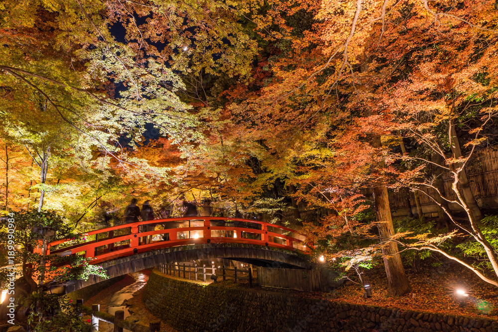 日本の秋 京都 北野天満宮 秋の紅葉ライトアップ Stock 写真 Adobe Stock