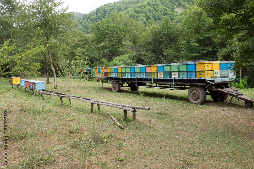 Movable apiary, mounted in a truck trailer Movable apiary, mounted in a truck trailer