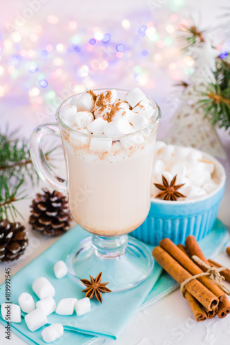Hot cocoa with marshmallow and ground cinnamon in a glass