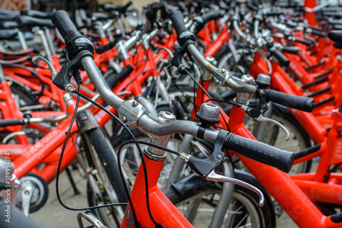 Wallpaper Mural Bike Rental - City Bikes for Rent - Rent a bike to ride Torontodigital.ca