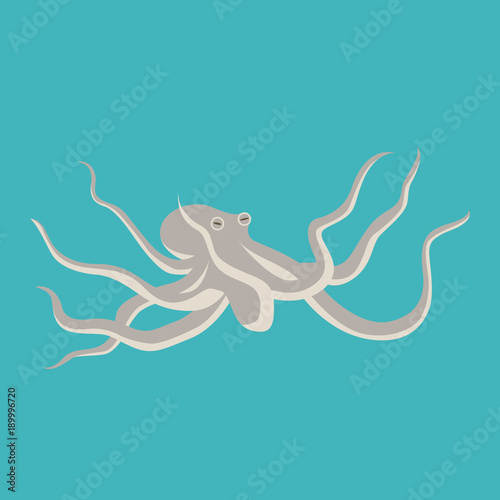 octopus cartoon vector illustration flat style front