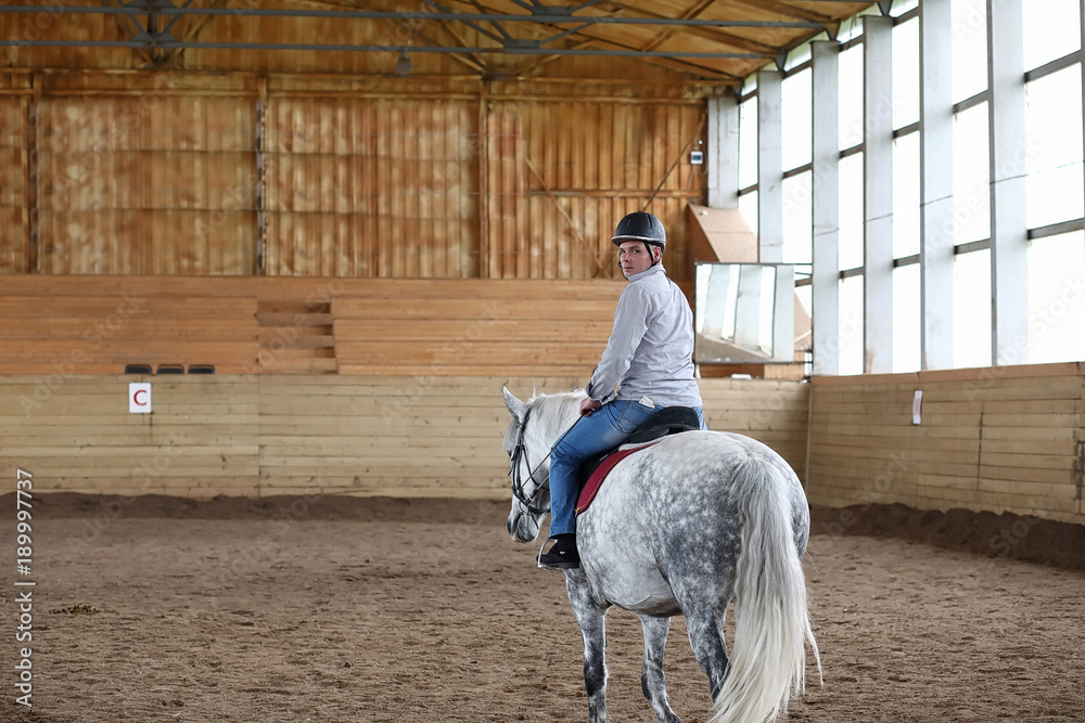 People on a horse training in a wooden arena People on a horse training in a wooden arena