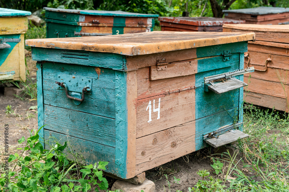 Beehive - the house of bees in the bosom of nature. Work beekeeper. Healing product of beekeeping. May, flower honey. Beehive - the house of bees in the bosom of nature. Work beekeeper. Healing product of beekeeping. May, flower honey.