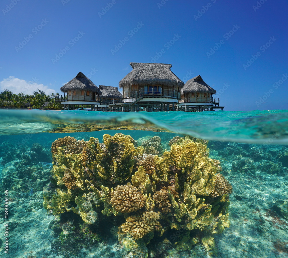 Fototapeta premium Above and below sea surface, tropical bungalows overwater with corals underwater, French Polynesia, Tikehau atoll, Pacific ocean
