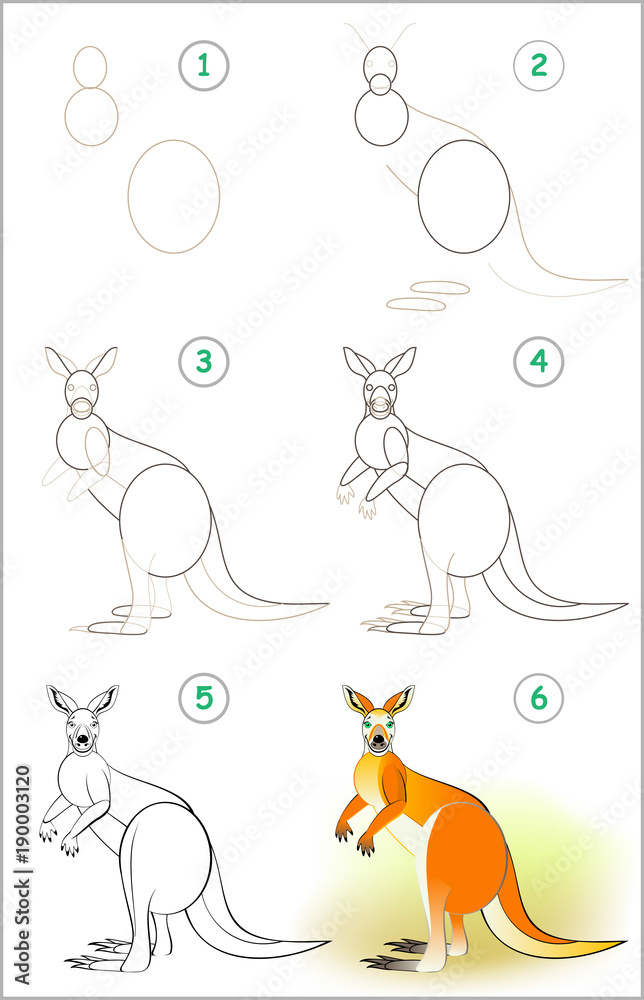 Page shows how to learn step by step to draw a cute kangaroo