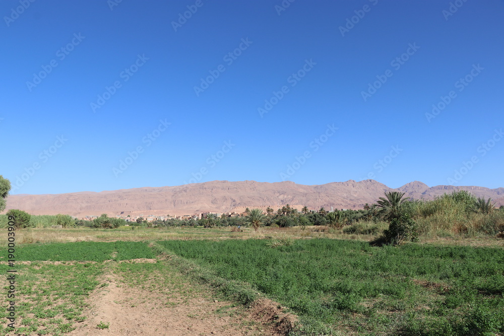 Feld und blauer Himmel