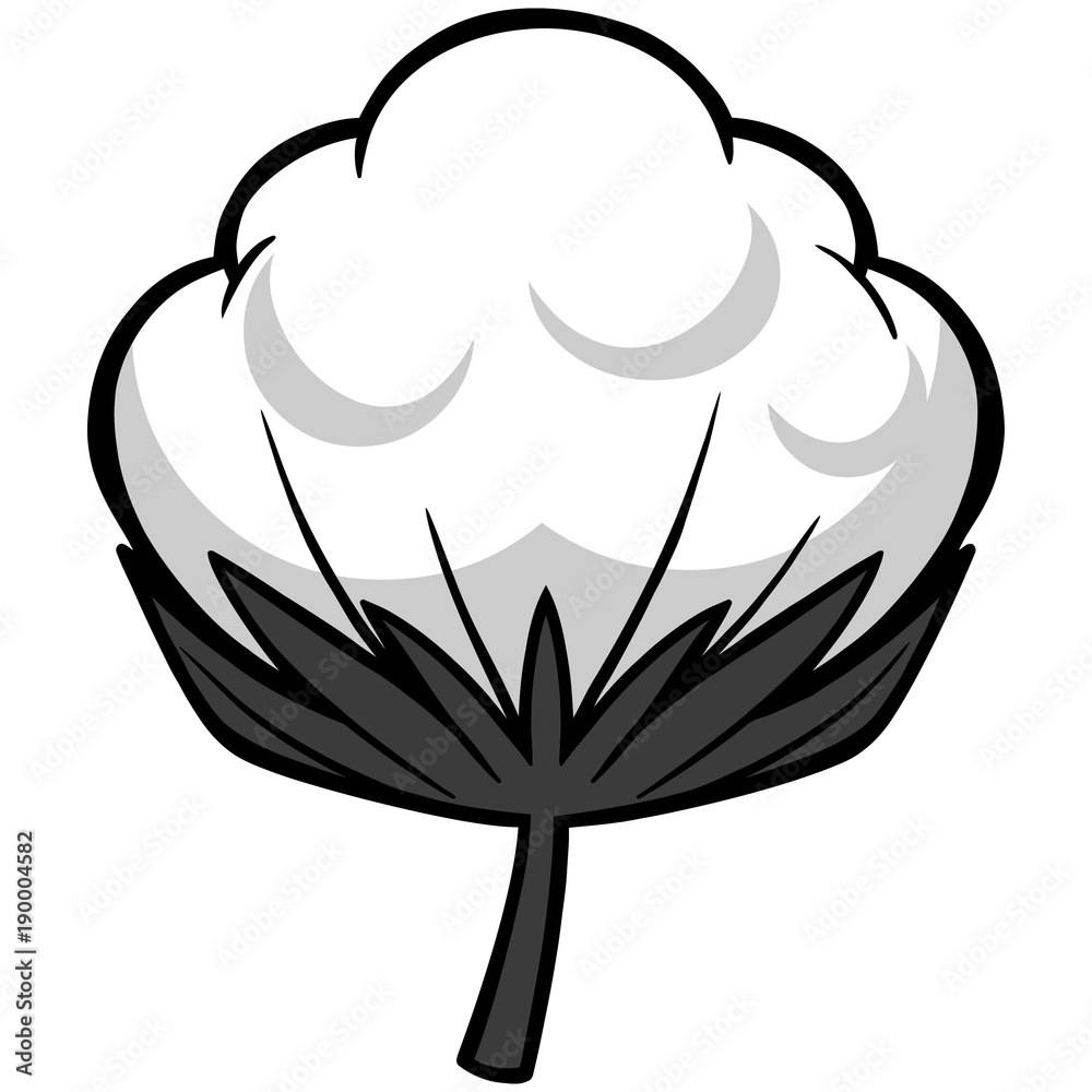 Cotton Blossom Illustration A vector cartoon illustration of a Cotton