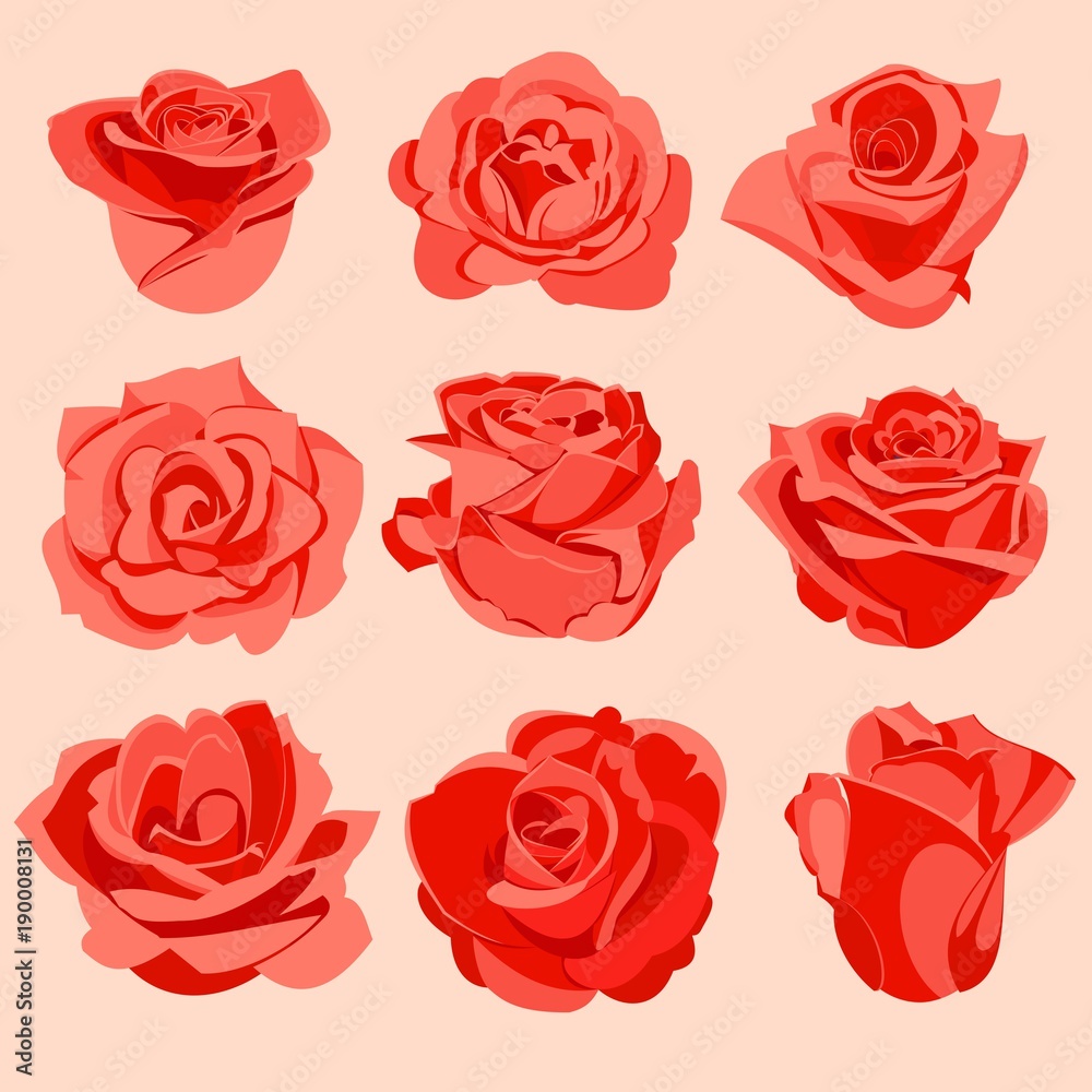 set of red roses set of red roses