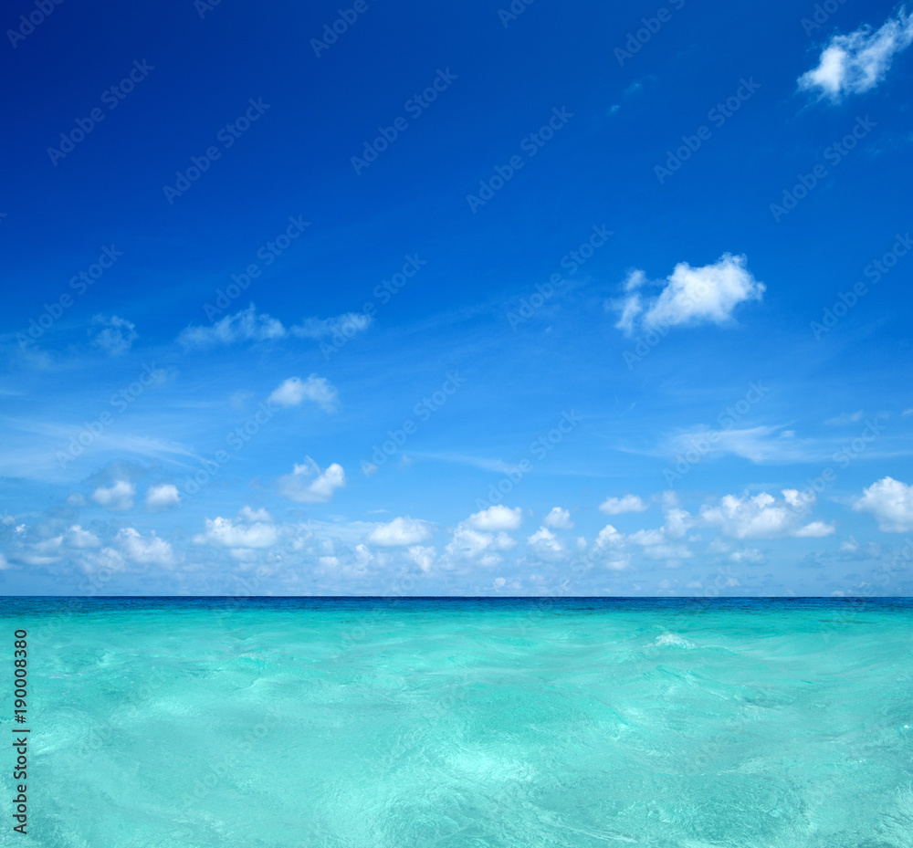 beach and tropical sea