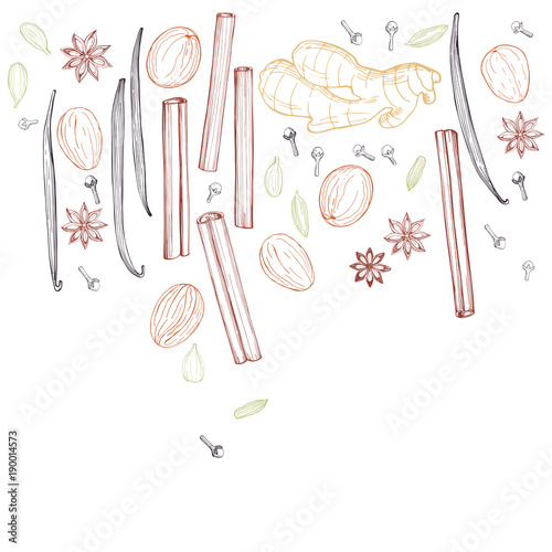 Spices for dessert, and baking.Vector background. Hand drawn sketch illustration