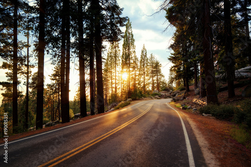 Sequoia National Park USA