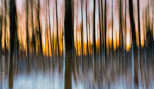 Abstrakcjonistyczny las fotografujący na długim ujawnieniu