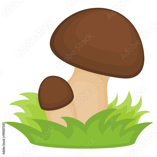 Mushroom cartoon on white background