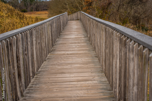 Pathway over the Bridge at the Park 