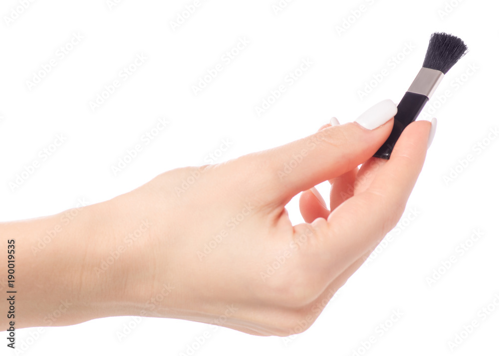 Brush for blush in hand