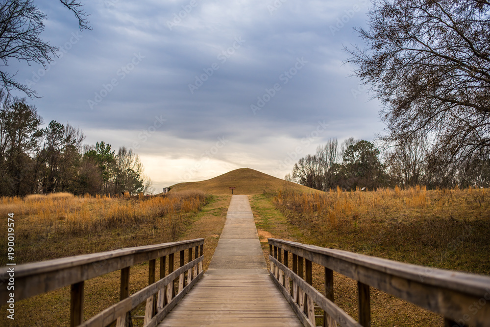Pathway over the Bridge at the Park 