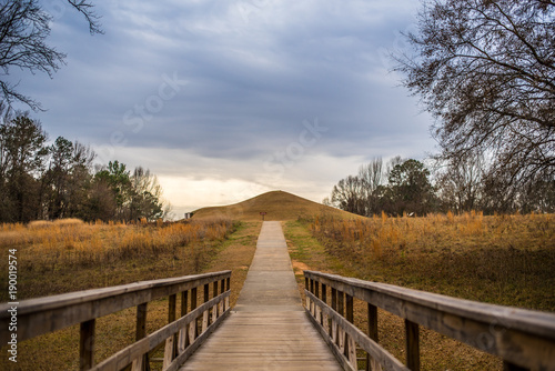 Pathway over the Bridge at the Park  photo