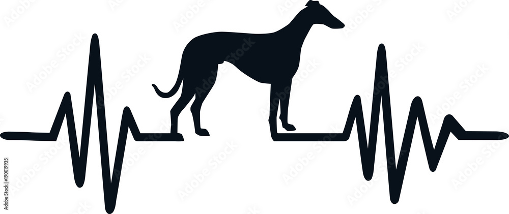 Fotografie Dog heartbeat line with greyhound