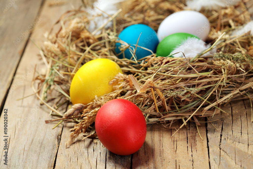 Colorful easter eggs.Colored chicken eggs in nest with white feather.On wooden background.Copy space.Easter background. Copy space