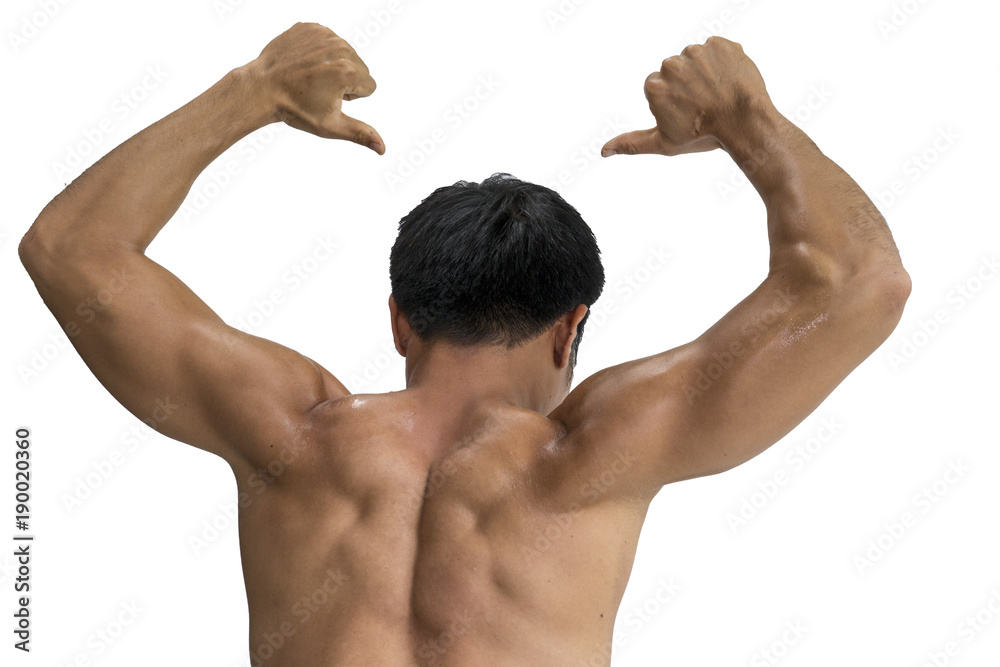 body of man body builder isolated on white background body of man body builder isolated on white background