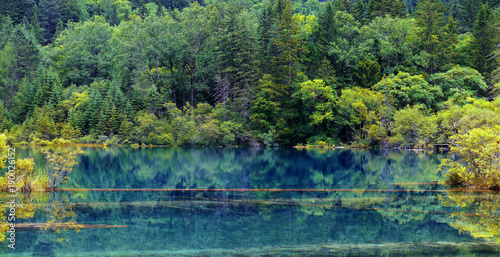 view of colorful lake in jiuzhaigou national park  Sichuan  china