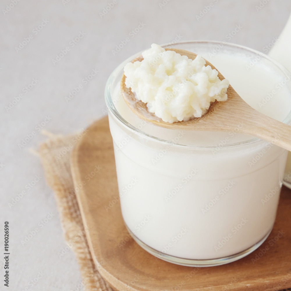 Organic probiotic milk kefir grains, Tibetan mushrooms on wooden spoon and kefir milk in glass containers Organic probiotic milk kefir grains, Tibetan mushrooms on wooden spoon and kefir milk in glass containers